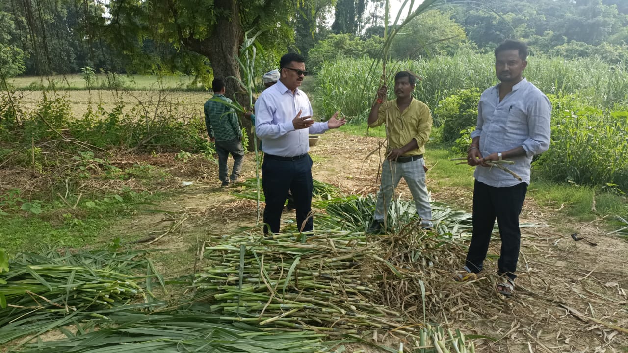 डीएम का सरकारी आवास बना नेपियर घास बीज वितरण केन्द्र ब्लाक मिहींपुरवा के लिए भेजी गयी घास बीज की पहली खेप