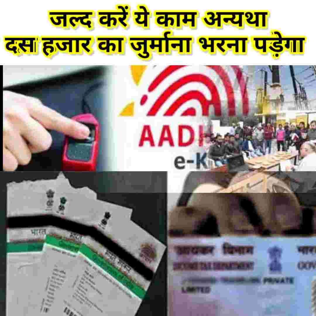 जल्द कर ले ये काम नहीं तो आपको 10000 का जुर्माना भी भरना पड़ सकता है Do this work quickly, otherwise you may have to pay a fine of 10,000