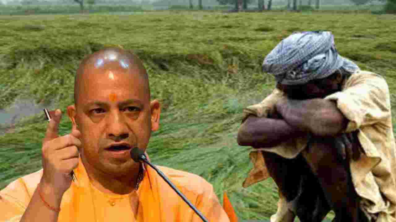 UP News: बारिश और ओलावृष्टि से हुए नुकसान पर मिलेंगे चार लाख सीएम योगी का ऐलान