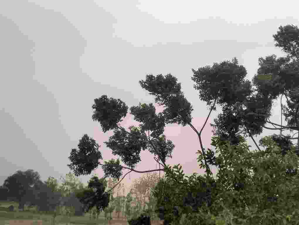 Deoria Wather Update: बढ़ती तापमान के बीच देवरिया के कुछ हिस्सों में धूल मिट्टी के साथ चली आधी मौसम विभाग इस दिन से होगी बारिश?